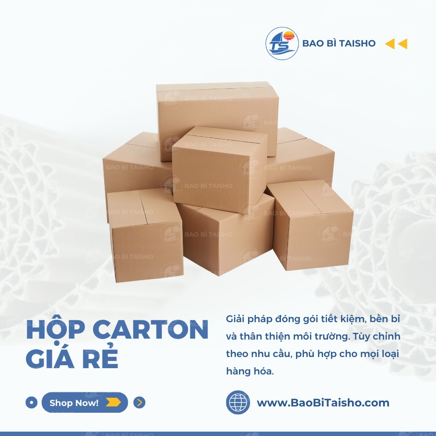 Hộp Carton Giá Rẻ