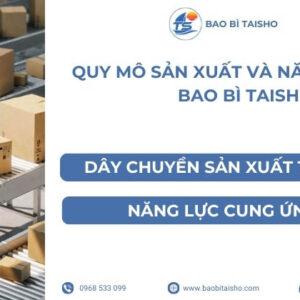 Quy mô sản xuất và năng lực của Bao Bì Taisho