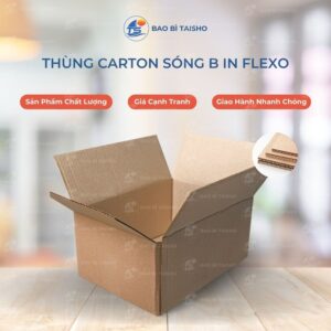 Thùng carton sóng B in flexo