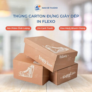 Thùng Carton Đựng Giày Dép In Flexo
