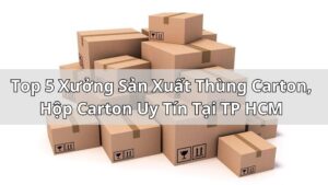 Top 5 Xưởng Sản Xuất Thùng Carton, Hộp Giấy Carton Uy Tín Tại Tp HCM