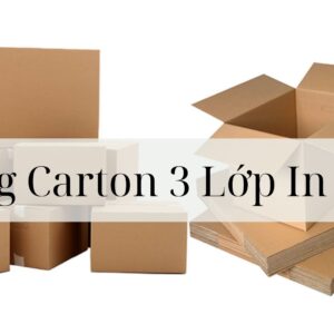 Thùng Carton 3 Lớp In Floxe