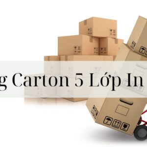 Thùng Carton 5 Lớp In Flexo