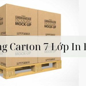 Thùng Carton 7 Lớp In Flexo