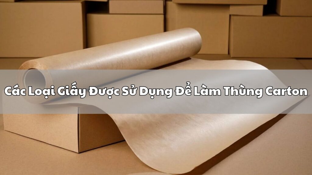 Các Loại Giấy Được Sử Dụng Để Làm Thùng Carton