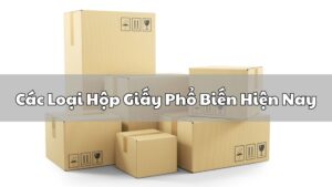 Các Loại Hộp Giấy Phổ Biến Hiện Nay