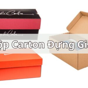 Hộp Carton Đựng Giày