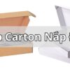 Hộp Carton Nắp Đậy