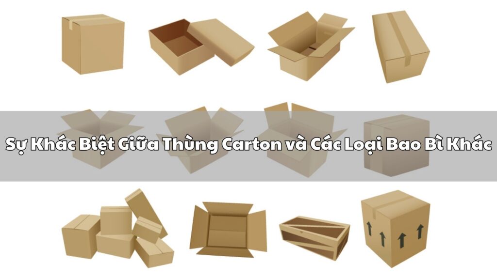 Các thùng carton khác biệt nhau
