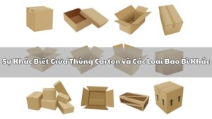 Các thùng carton khác biệt nhau