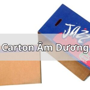 Thùng carton âm dương