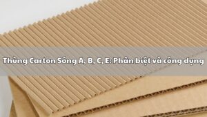 Thùng carton sóng A-B-C-E