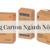 Thùng Carton Ngành Nội Thất