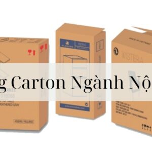 Thùng Carton Ngành Nội Thất