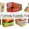 Thùng Carton Ngành Nông Sản