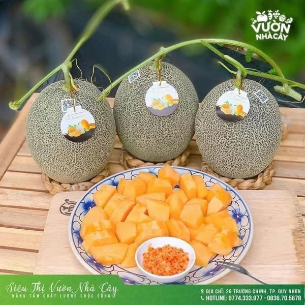 Cách đăng bài bán hoa quả - Dưa lưới mật 