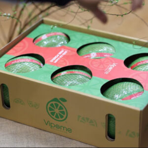 In thùng carton đựng bưởi