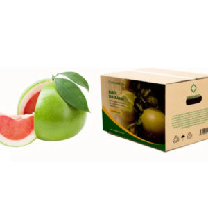 Nhà sản xuất thùng carton bưởi
