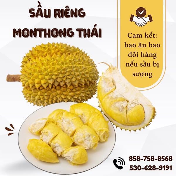 Status bán sầu riêng - Sầu riêng Monthong Thái Lan 