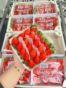 Stt bán dâu tây - Trái cây tươi Ekago 
