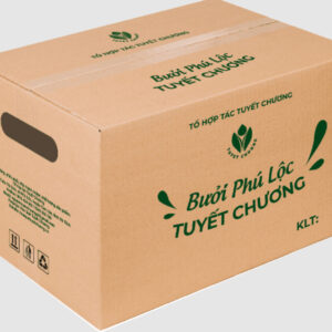 Thùng bưởi tái chế