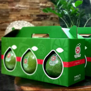 Thùng Carton chống sốc cho bưởi