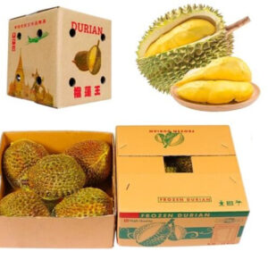 Thùng carton đựng sầu riêng