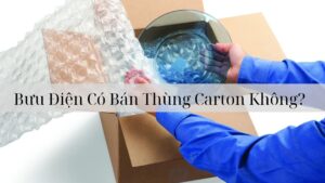 Bưu Điện Không Cung Cấp Dịch Vụ Bán Thùng Carton