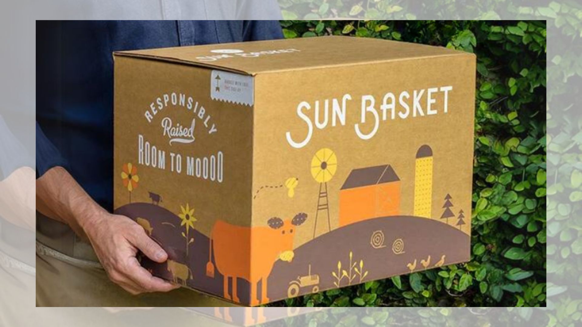 Lợi Ích Chi Tiết Khi Sử Dụng Phần Mềm Thiết Kế Thùng Carton