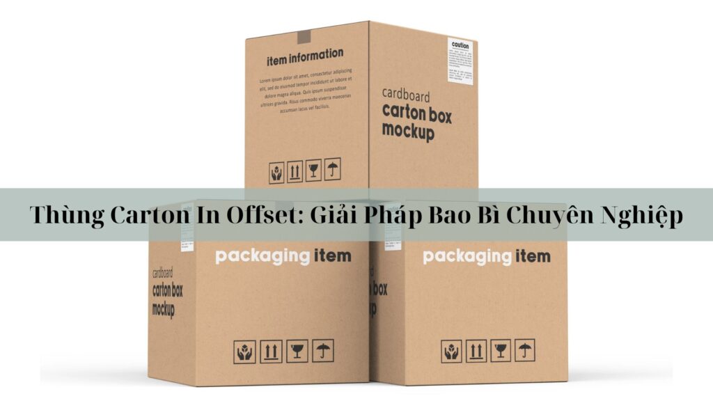 Thùng Carton In Offset
