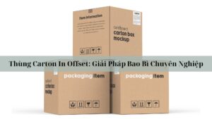 Thùng Carton In Offset