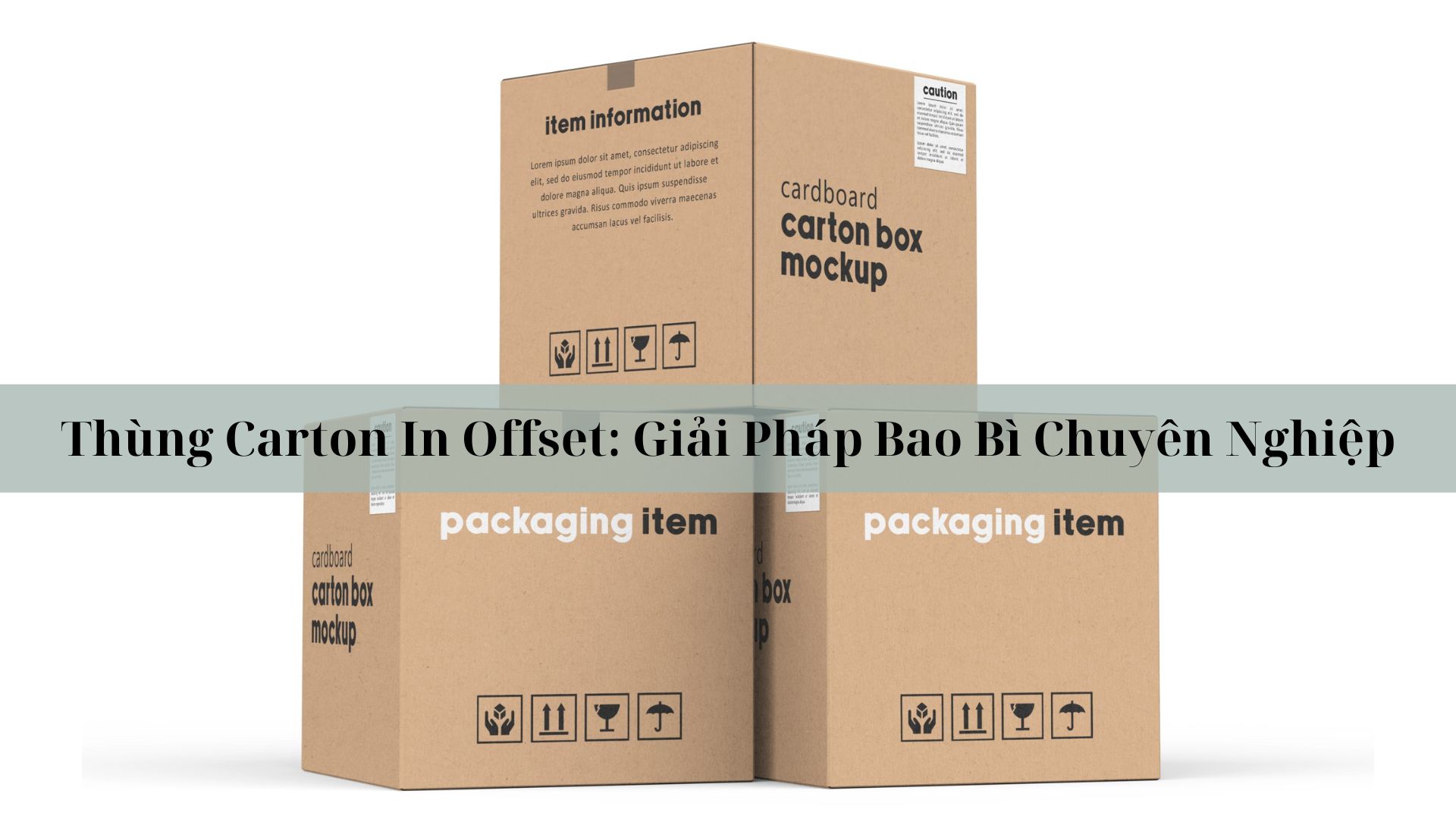 Thùng Carton In Offset