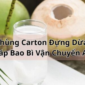 Thùng Carton Đựng Dừa