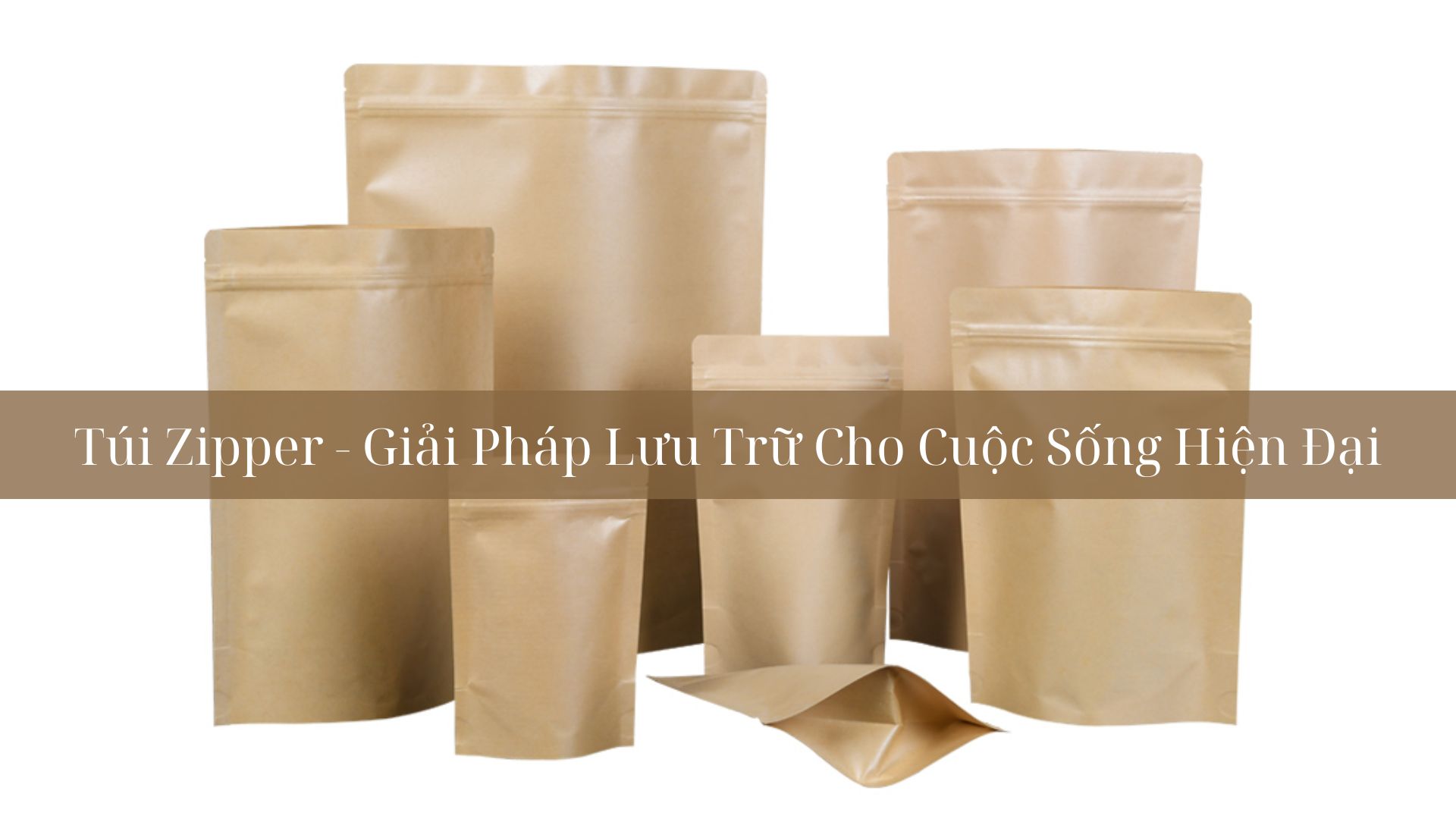 Túi Zipper - Giải Pháp Lưu Trữ Cho Cuộc Sống Hiện Đại